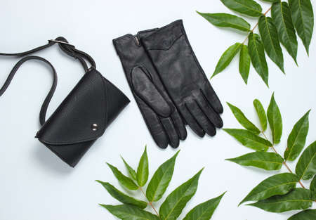 Leather waist bag, gloves on white background with green tropical leaves. Top viewの写真素材