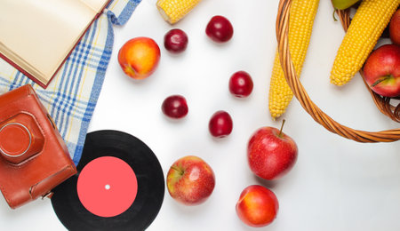French retro style picnic. Basket with fruits and vegetables, retro camera, book,  baguette and...