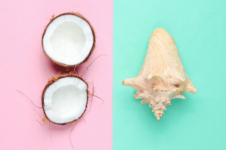 Two halves of chopped coconut and seashell on blue pink pastel backgroundの写真素材