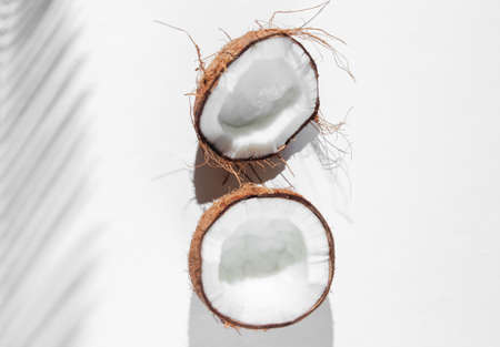 Minimalistic tropical still life. Halves coconut with shadows from palm leaves on white background....