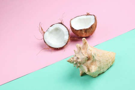 Two halves of chopped coconut and seashell on blue pink pastel background