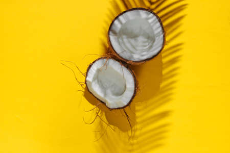 Minimalistic tropical still life. Two halves of chopped coconut with shadows from palm leaves on yellow background. Creative fashion concept. Top view.の写真素材