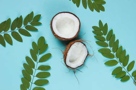 Two halves of chopped coconut on blue background with green leavesの写真素材