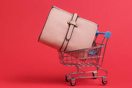 Minimalistic shopping concept. Mini shopping trolley with wallet on red backgroundの写真素材
