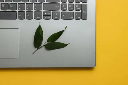 Ecological concept. Laptop with green leaves on yellow background. Top view