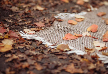 A knitted blanket with fallen autumn leaves lies on the ground. Autumn picnicの写真素材