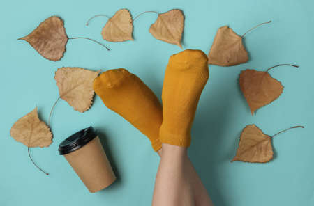 Female slim legs in orange socks on blue background with dry fallen leaves and coffee cup. Creative...