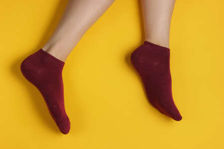 Female slim legs in burgundy socks on yelow background. Studio fashion shot. Top view