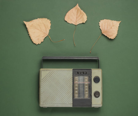 Retro fm radio receiver on green background with fallen autumn leaves. Top viewの写真素材
