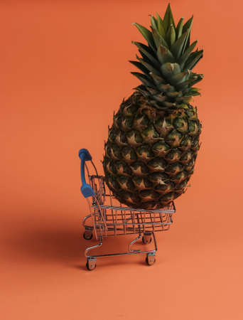 Pineapple in a mini shopping trolley on coral color backgroundの写真素材