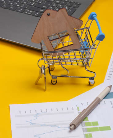 Laptop, shopping trolley, figure house with graphs and charts on a yellow background. Business plan, financial analytics, statisticsの写真素材