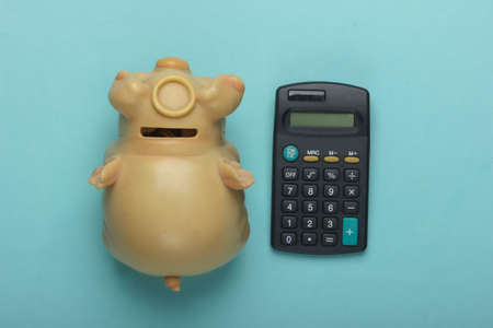 Calculator, piggy bank on blue pastel background. Economic calculation, analytics, business concept. Family budget. Top viewの写真素材