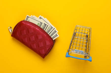 Red wallet with hundred dollar bills and shopping trolley on a yellow background. Top viewの写真素材