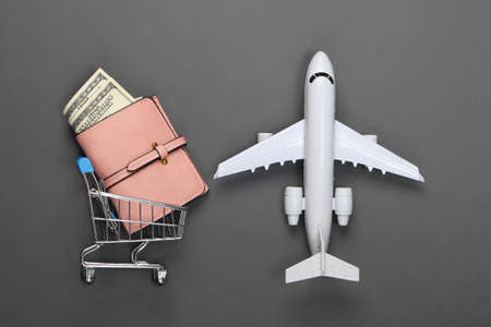 Wallet with money in a shopping trolley and figurine of a passenger plane on a gray background. Logistics or travel concept. Top viewの写真素材
