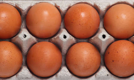 Tray of chicken eggs close up