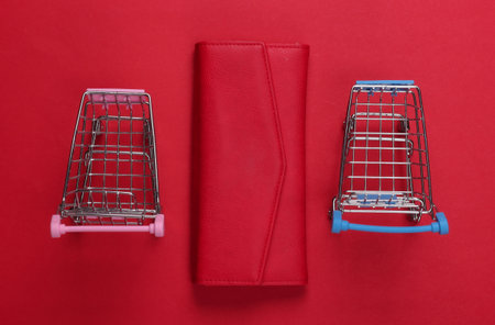 Two mini supermarket trolleys with wallet on red background. shopping concept. top view. minimalism