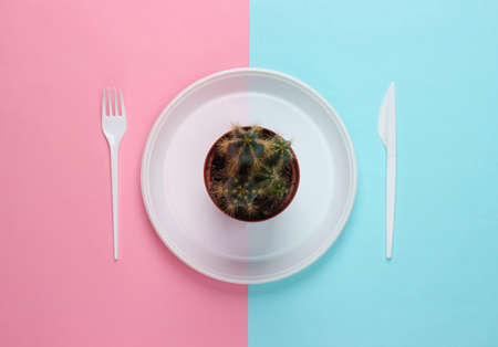 Cactus in plastic plate with disposable fork and knife on blue-pink pastel background. top viewの写真素材