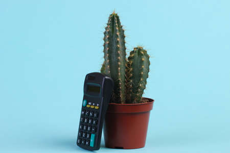 Cactus in pot with calculator on blue studio background. minimalismの写真素材