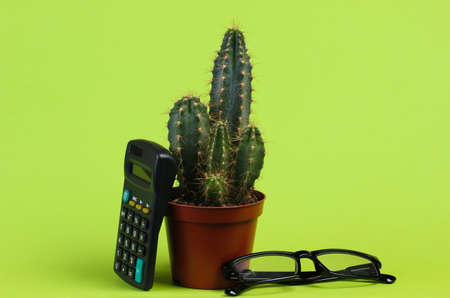 Cactus in pot with calculator, glasses on green studio background. minimalism