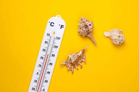 summertime. Weather thermometer with seashells on yellow background. climate control. top view