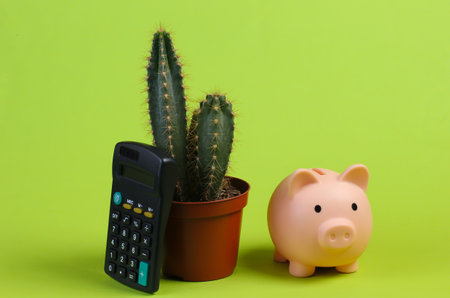 Cactus in pot, piggy bank and calculator on green studio background. Minimalismの写真素材