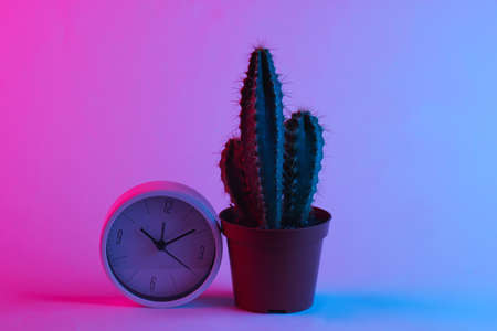 Cactus and clock in trendy neon light. Gradient pink-blue glow. Concept art. Minimalism