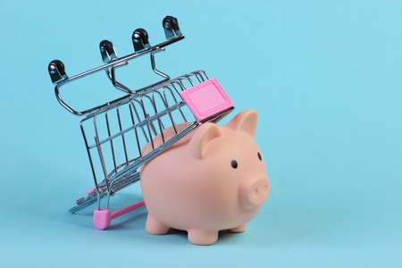 Shopping trolley with piggy bank close-up on blue backgroundの写真素材