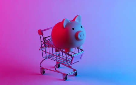 Shopping trolley with piggy bank in trendy neon light. Gradient pink-blue glow. Concept art. Minimalismの写真素材