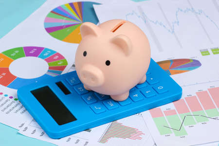 Piggy bank with calculator on graphs and charts. Budget, Economic analysis, costs, statistics.の写真素材
