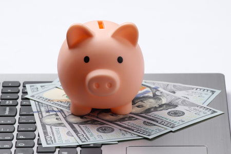 Piggy bank with 100 dollar bills on laptop keyboard closeupの写真素材
