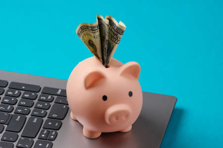Piggy bank with dollar bill on laptop keyboard closeup. Blue studio backgroundの写真素材