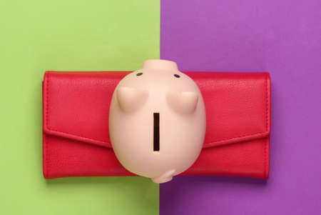 Piggy bank and wallet on purple green background. Minimalistic studio shot. Overhead view. Flat lay.の写真素材