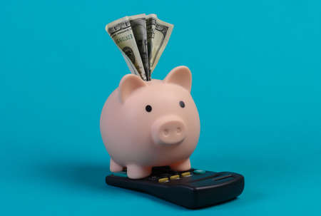 Piggy bank with dollar bil, calculator on blue studio background.の写真素材