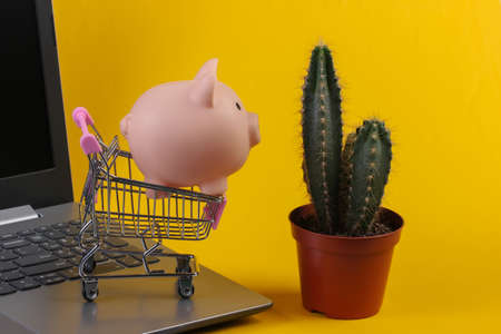 Mini supermarket trolley with piggy bank on laptop keyboard, cactus. Yellow studio background. Online shoppingの写真素材