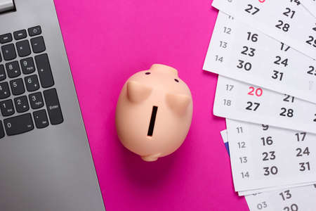 Time to invest, online business. Piggy bank with piggy bank, laptop on pink background. Top viewの写真素材