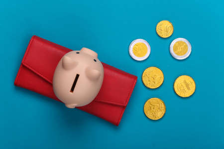 Leather wallet with coins and piggy bank on a blue background. Top viewの写真素材