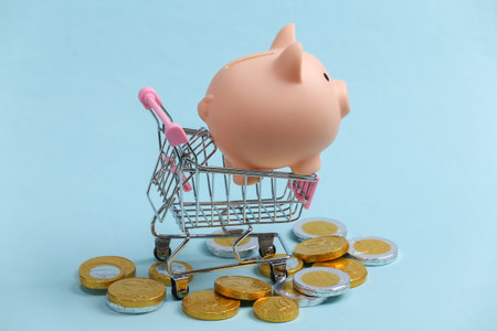Shopping theme. Mini Supermarket trolley with piggy bank and coins on blue background.の写真素材