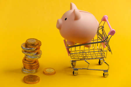 Shopping theme. Mini Supermarket trolley with piggy bank and coins on yellow background.の写真素材