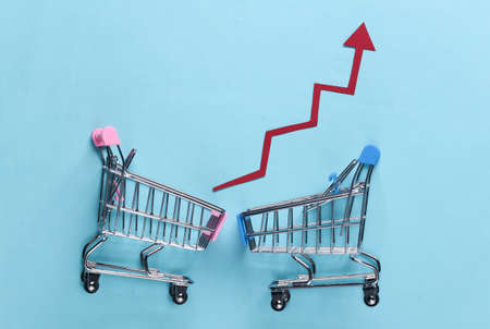 The concept of rising sales. Shopping trolleys with growth arrows on blue background. Top viewの写真素材