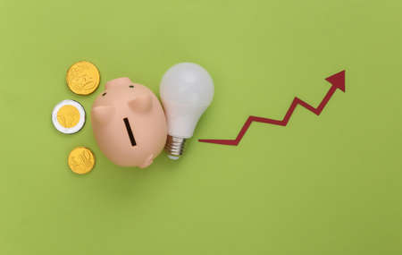The concept of energy and money saving. Growth arrow tending up with light bulb and pigy bank with coins on green background. Top viewの写真素材