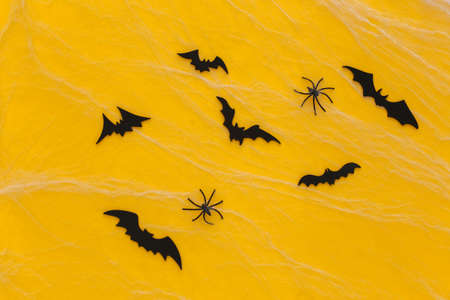 Halloween scary background, decoration. Spiders with spider web, flying bats on a yellow background.