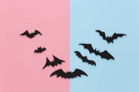 Halloween background, decorations and scary concept. Black bats fly on pink blue backgroundの写真素材