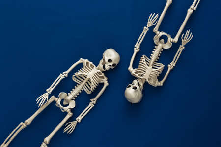 Two fake skeletons on classic blue dark background. Halloween decoration, scary theme. flat lay. minimalismの写真素材