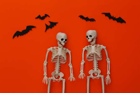 Two skeletons and bats on orange bright background. Halloween decoration, scary theme. flat lay. minimalismの写真素材
