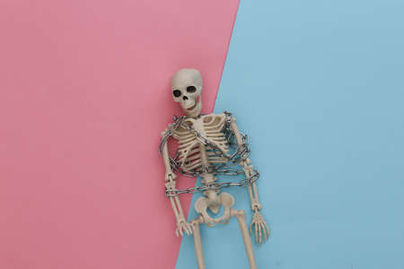 Skeleton wrapped in metal chain on pink blue pastel background. Halloween decoration, scary theme. flat lay. minimalismの写真素材