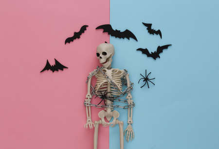 Skeleton wrapped in metal chain on pink blue pastel background with bats and spiders. Halloween decoration, scary theme. flat lay. minimalismの写真素材