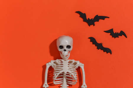 Skeleton sculpt and bats on orange bright background. Halloween theme. top viewの写真素材
