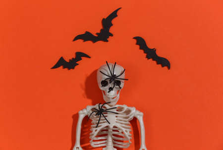 Skeleton sculpt, spider and bats on orange bright background. Halloween theme. top viewの写真素材