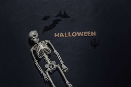 Skeleton and bats on black background with the word Halloween. Halloween theme. top viewの写真素材