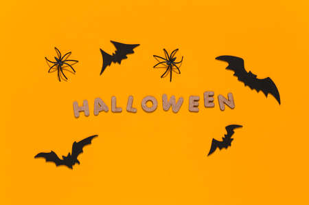 Bats and spiders on yellow background with word Halloween. Halloween theme. top view